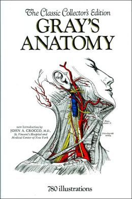 Greys Anatomy | Study of The Human Body
