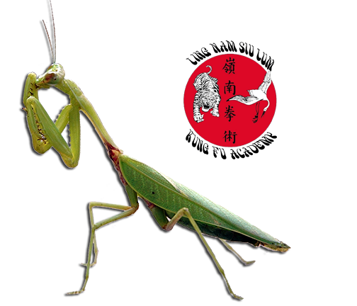 Ling Nam Siu Lum Kung Fu Academy, Phone: 516-796-1008 | 2570 Hempstead Turnpike, Suite #2, East Meadow, NY, 11554
