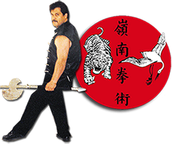Sifu Mike