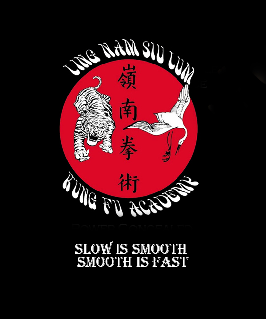 Ling Nam Siu Lum Kung Fu Academy, Phone: 516-796-1008 | 2570 Hempstead Turnpike, Suite #2, East Meadow, NY, 11554